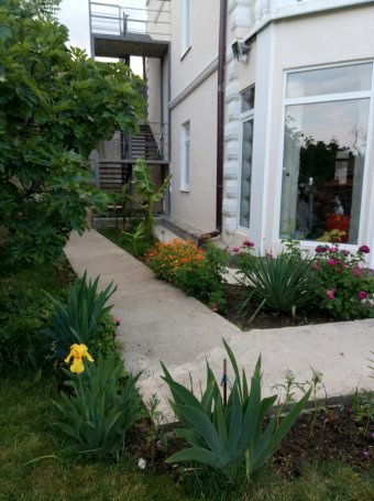 Павел Алешкевич - image-0-02-05-2f04529e782b6e040a0d398391b19404b349defcc02d3a2662ca641c9a60ebba-V